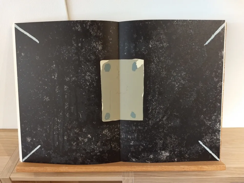 Libro Illustrato Tàpies - DLM175