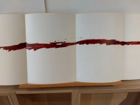 Libro Illustrato Tàpies - Dlm180