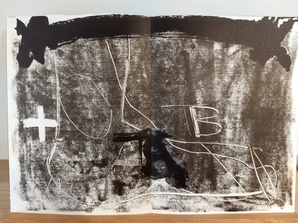 Libro Illustrato Tàpies - DLM210