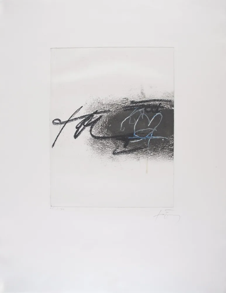 Acquaforte Tàpies - EQUATION II