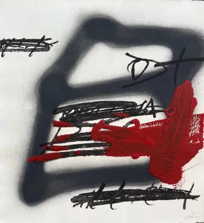 Acquaforte E Acquatinta Tàpies - Forma ombrejada