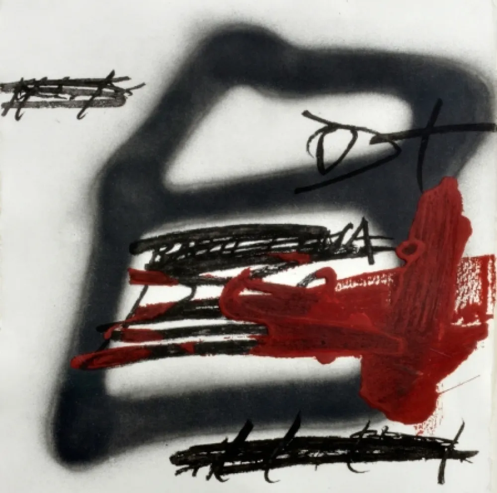 Acquaforte E Acquatinta Tàpies - Forma Ombrejada