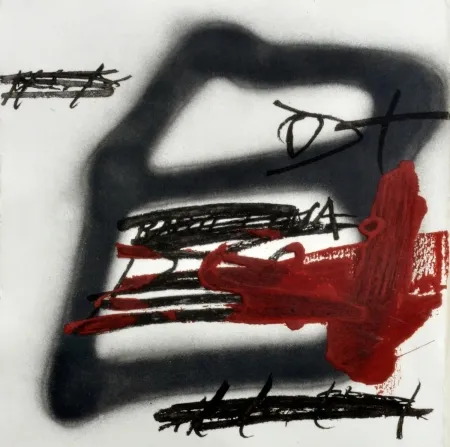 Acquaforte E Acquatinta Tàpies - Forma Ombrejada