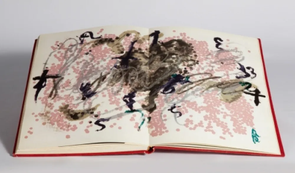 Libro Illustrato Tàpies - Fregolí 