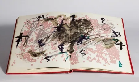 Libro Illustrato Tàpies - Fregolí 