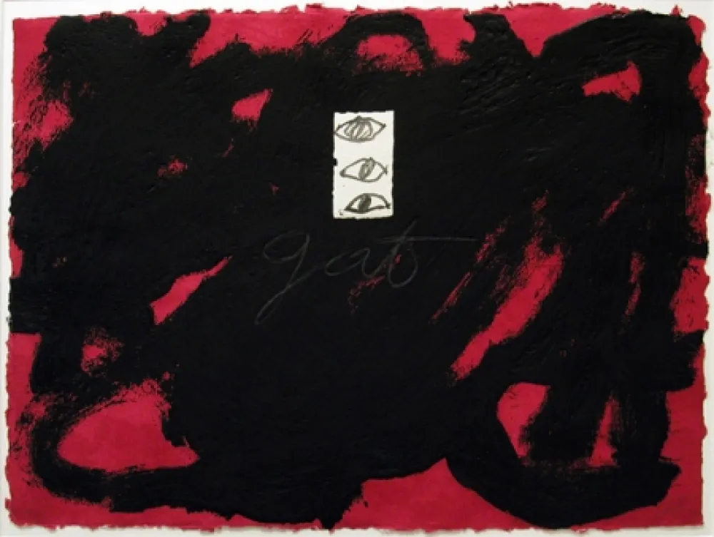 Acquaforte E Acquatinta Tàpies - Gat