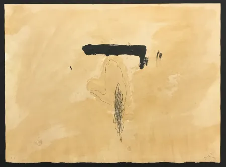 Incisione Tàpies - La Main 