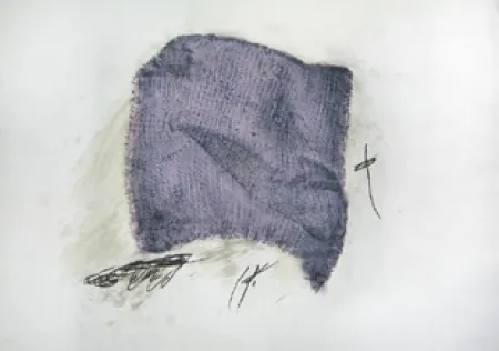 Acquaforte E Acquatinta Tàpies - La serpilière