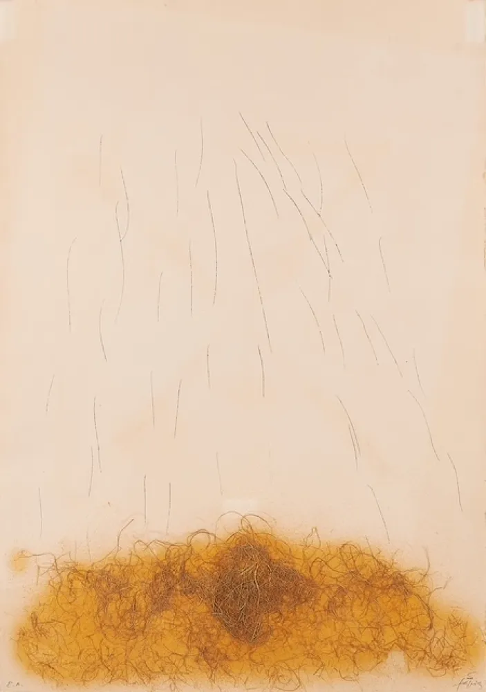 Acquaforte Tàpies - LE CRIN