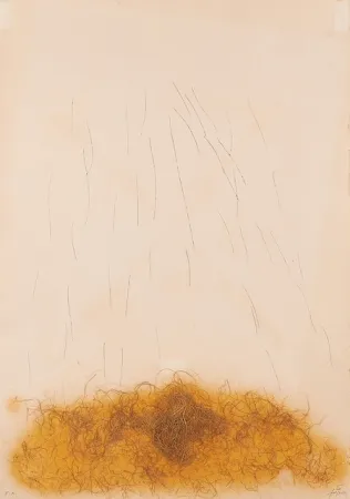 Acquaforte Tàpies - LE CRIN