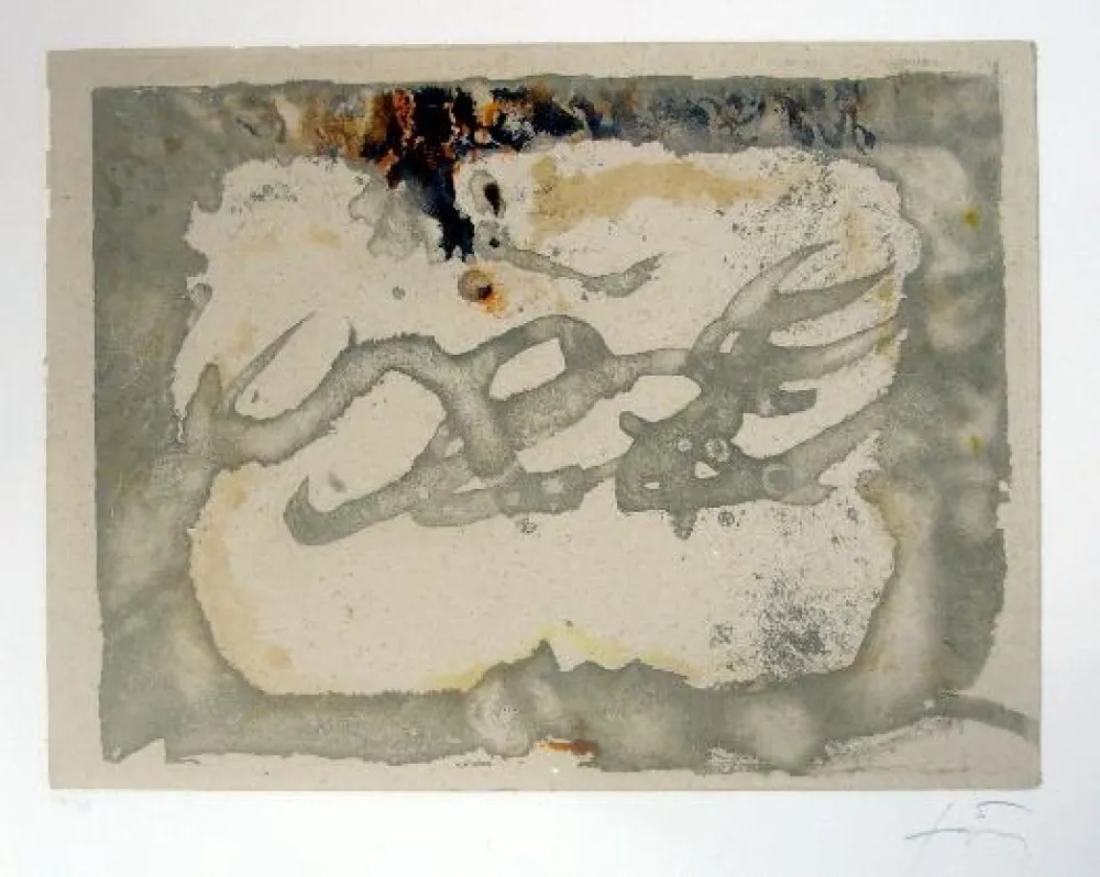 Acquaforte E Acquatinta Tàpies - Muntanyes