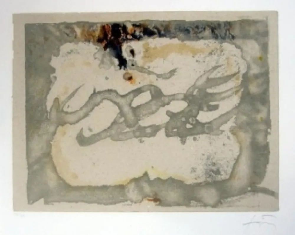 Acquaforte E Acquatinta Tàpies - Muntanyes