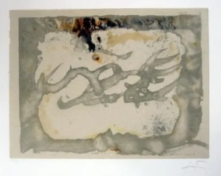 Acquaforte E Acquatinta Tàpies - Muntanyes