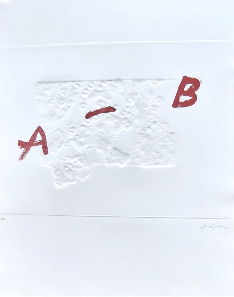 Incisione Tàpies - Plus beau cadeau