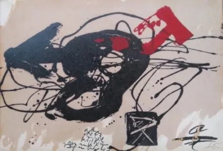 Acquaforte Tàpies - Primer Congreso Nacional de Neuropedriatria