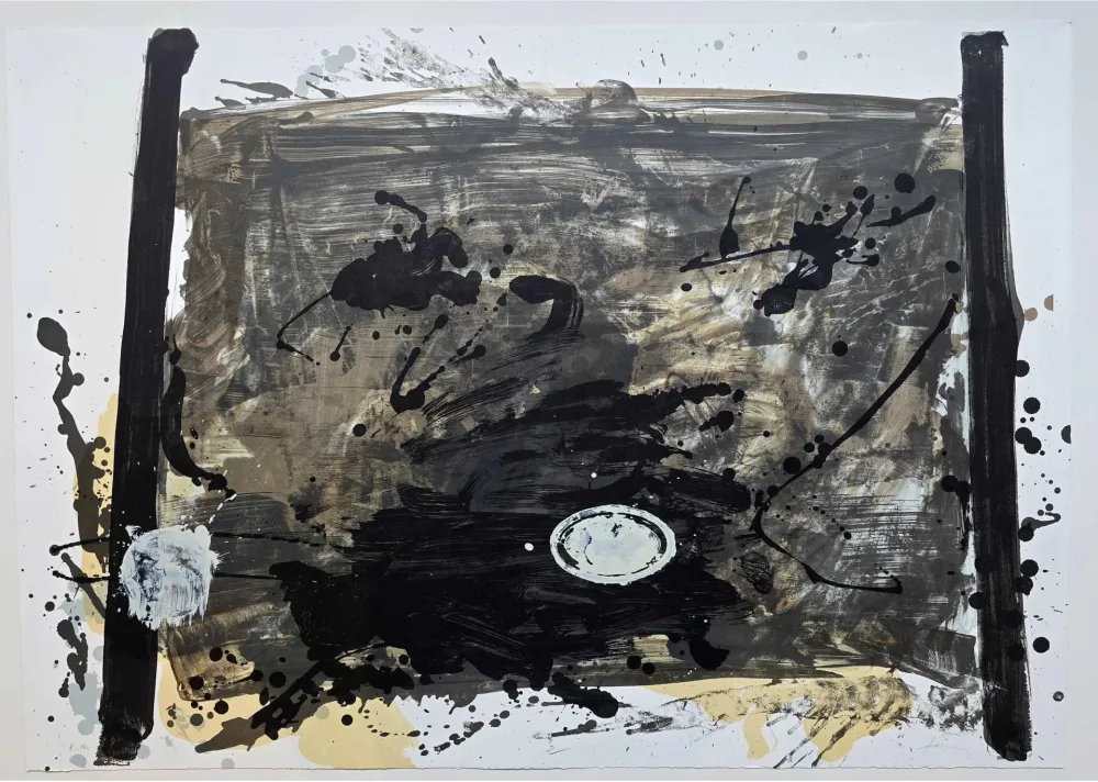 Non Tecnico Tàpies - Suite