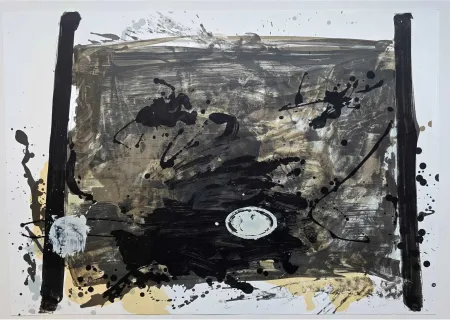 Non Tecnico Tàpies - Suite