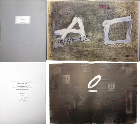 Libro Illustrato Tàpies - TÀPIES. 