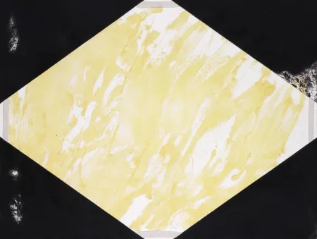 Incisione Tàpies - Tressé