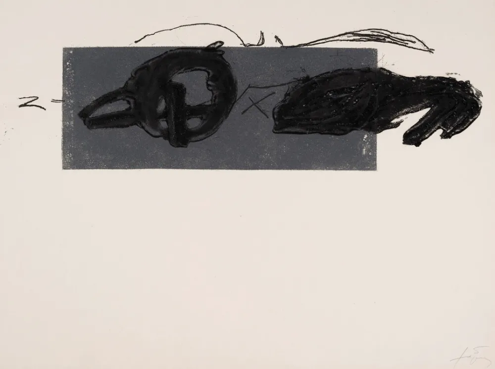 Incisione Tàpies - Z