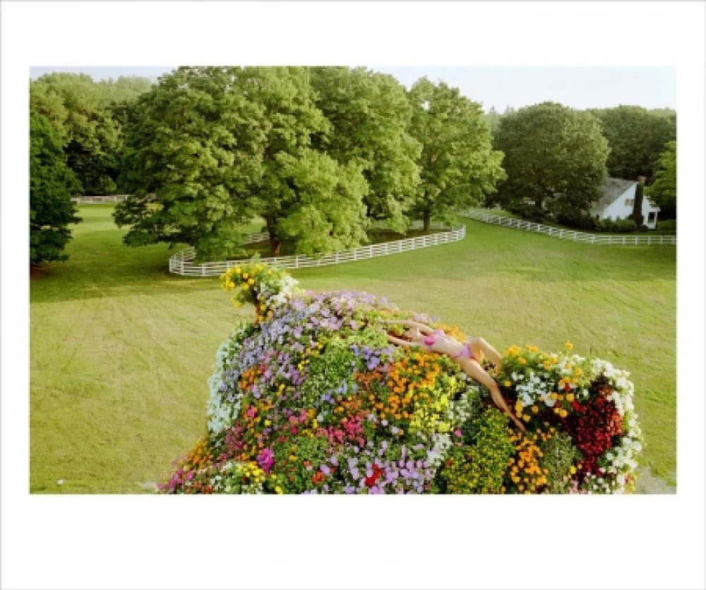 Fotografie Teller - Stephanie (Seymour) on Jeff Koons Puppy 