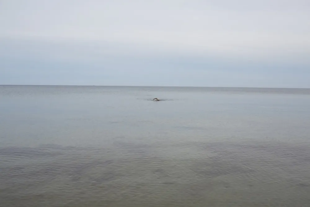 Non Tecnico Teller - Swimming, Glemmingebro, Sweden 2015