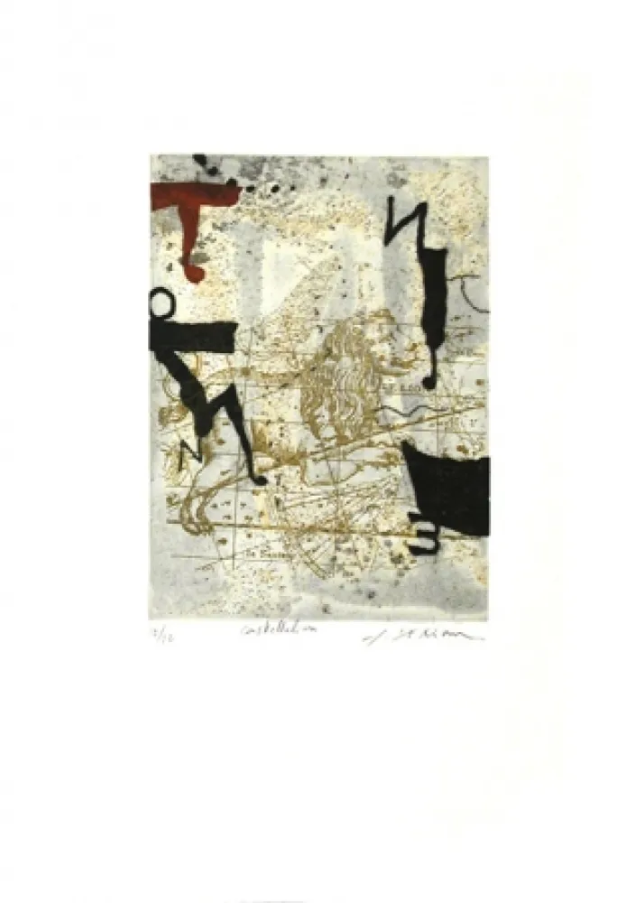 Acquaforte E Acquatinta Texier - Constellation