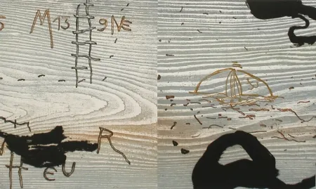 Libro Illustrato Texier - Ex-voto