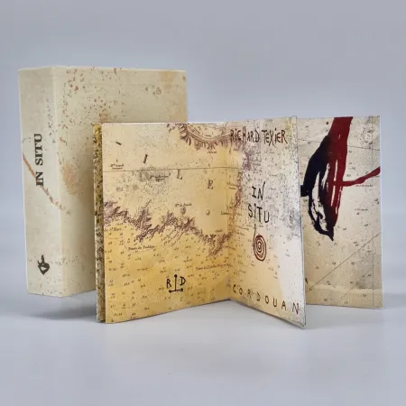 Libro Illustrato Texier - In situ