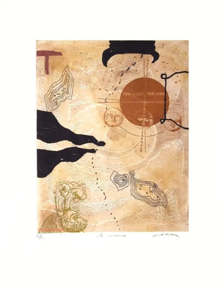 Incisione Texier - L'île inconnue