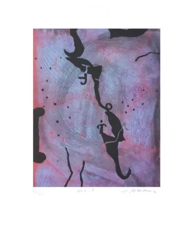 Incisione Texier - NOX D