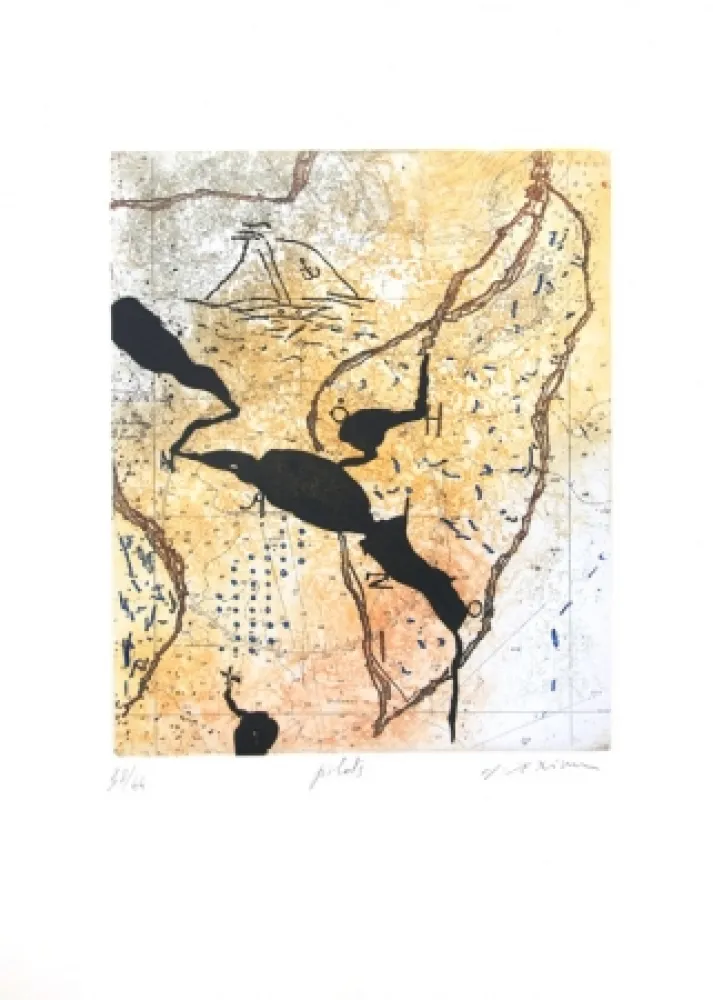 Acquaforte E Acquatinta Texier - Pilots