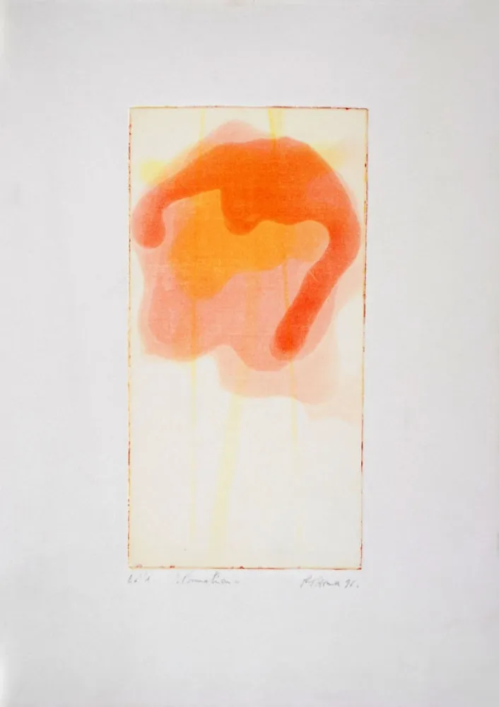 Acquaforte E Acquatinta Thoma - Formation