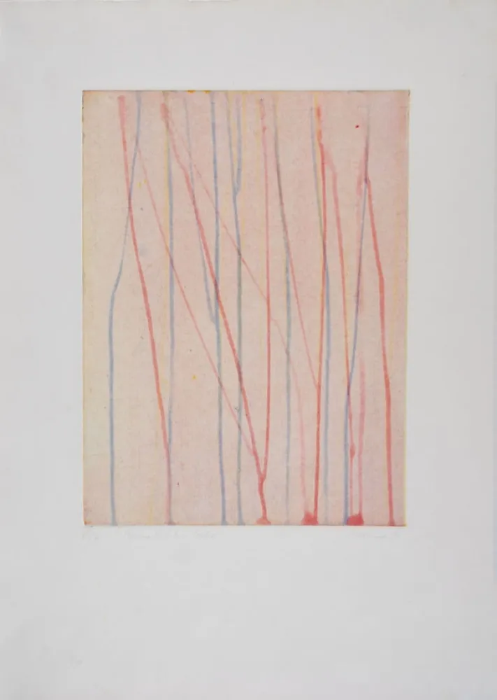 Acquaforte E Acquatinta Thoma - 