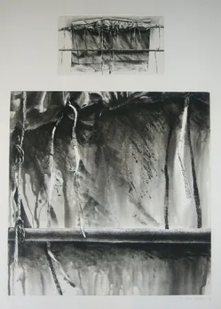 Acquatinta Titus Carmel - Narwa 4