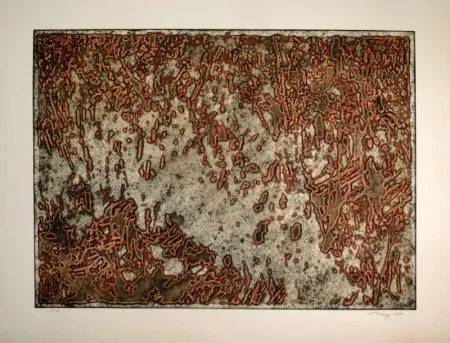 Acquatinta Tobey - Message from a desert Star