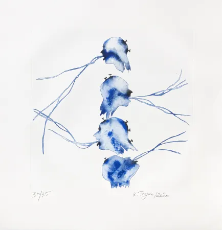 Incisione Toguo - Bénoué