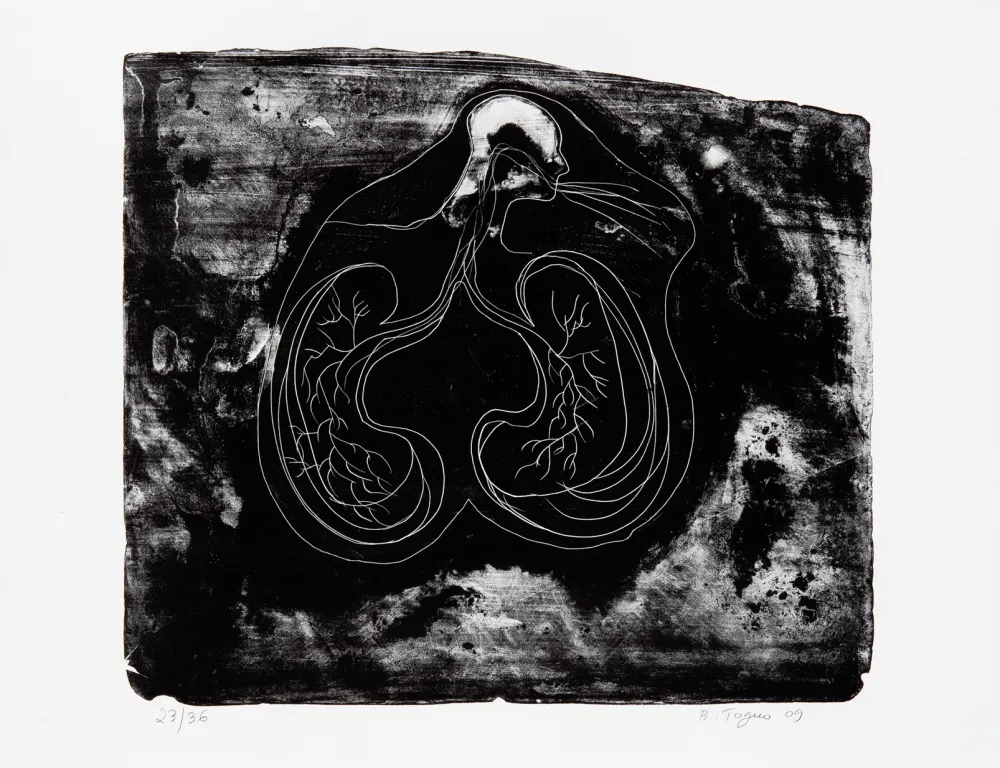 Litografia Toguo - Reasons to love