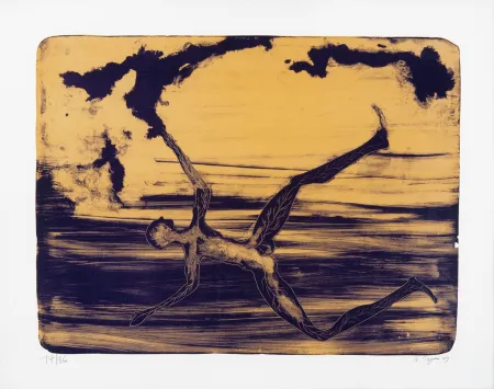 Litografia Toguo - Spring cleaning