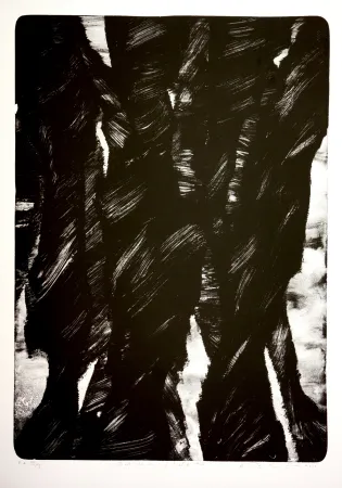 Litografia Tøjner - Dark shadows of central park