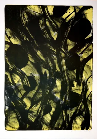 Litografia Tøjner - Recherche de formes dispersées V