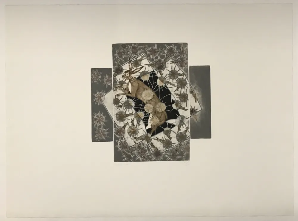 Incisione Toledo - Conejas (Rabbits)