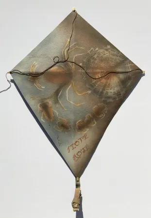 Non Tecnico Toledo - Spiders with Web Kite