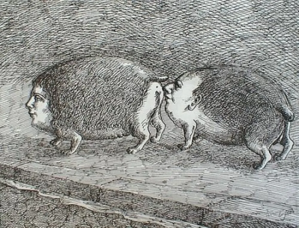 Incisione Topor - Senza titolo