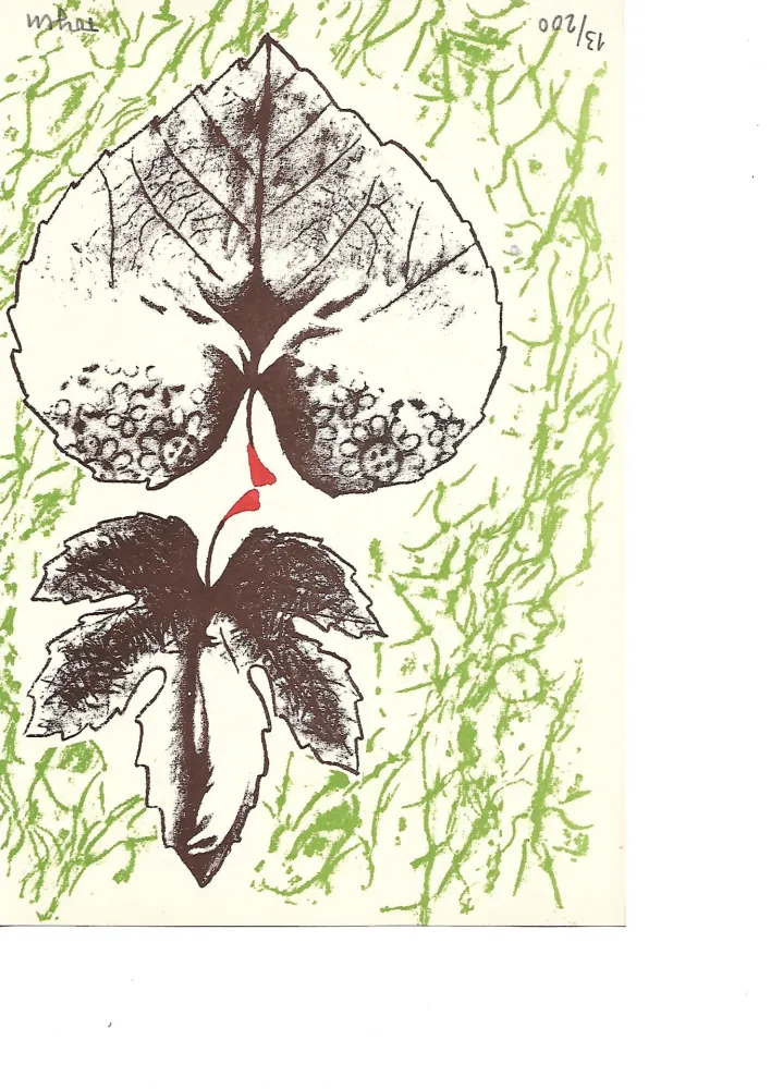 Litografia Toyen -  Krabicka prvni pomoci - Boîte alerte (1959)