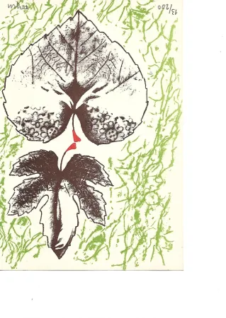 Litografia Toyen -  Krabicka prvni pomoci - Boîte alerte (1959)