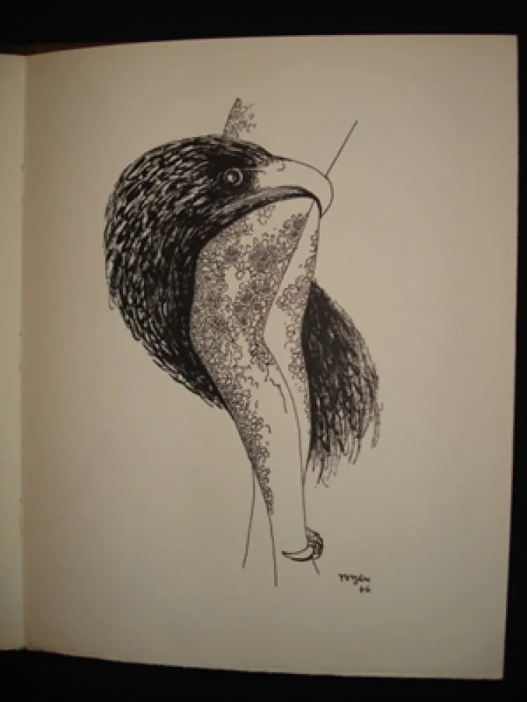 Libro Illustrato Toyen - Le puits dans la tour / TOYEN. Débris de rêves