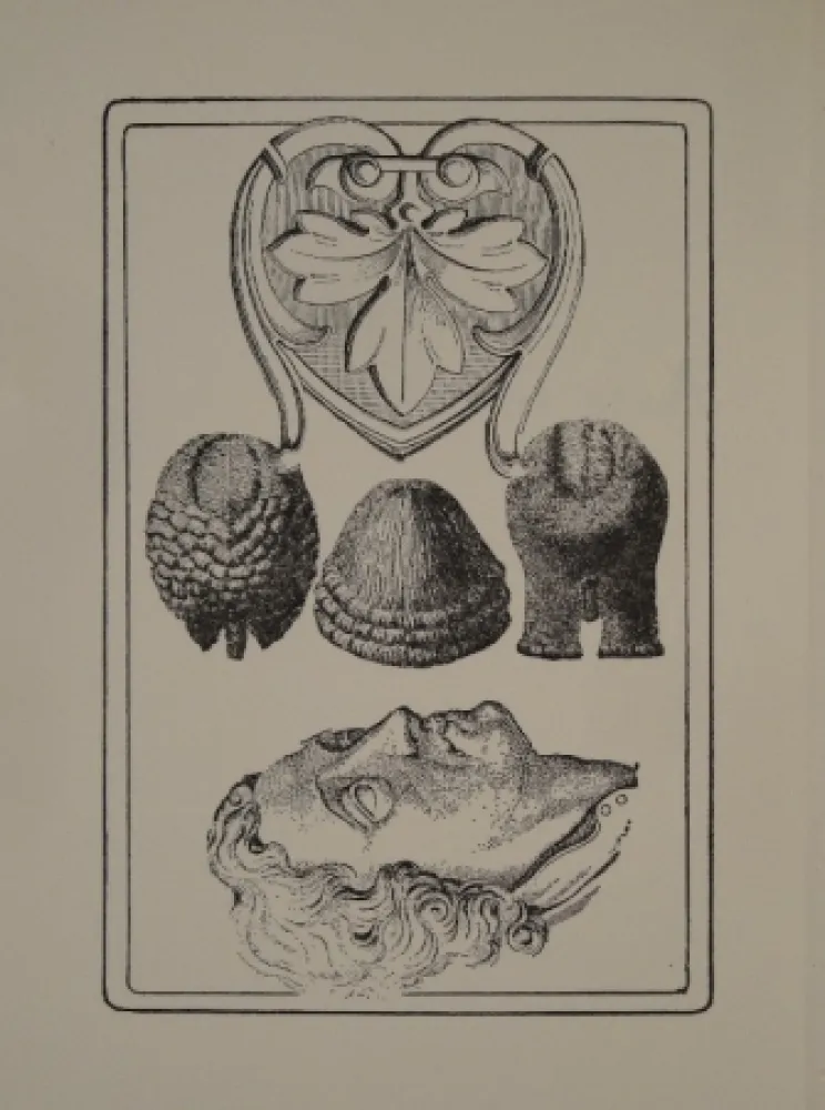 Libro Illustrato Toyen - Le Roi Gordogane
