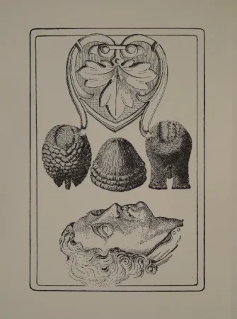 Libro Illustrato Toyen - Le Roi Gordogane