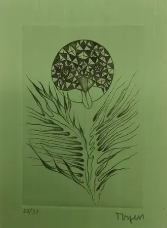 Incisione Toyen - Svatokradezny les a jjine texty  - La forêt sacrilège  (1970) 